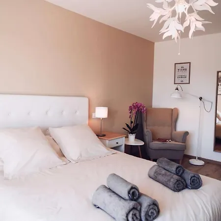 Maurine - Piscine Chauffee - - Clim - Salle De Fitness Willa Castelnau-de-Montmiral