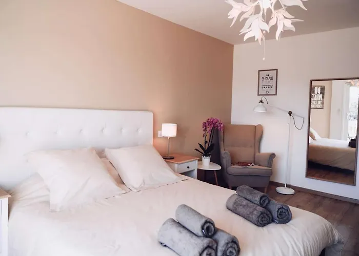 Maurine - Piscine Chauffee - - Clim - Salle De Fitness וילה Castelnau-de-Montmiral