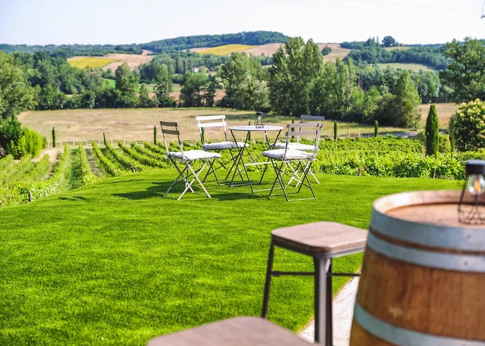 Maurine - Piscine Chauffee - - Clim - Salle De Fitness וילה Castelnau-de-Montmiral